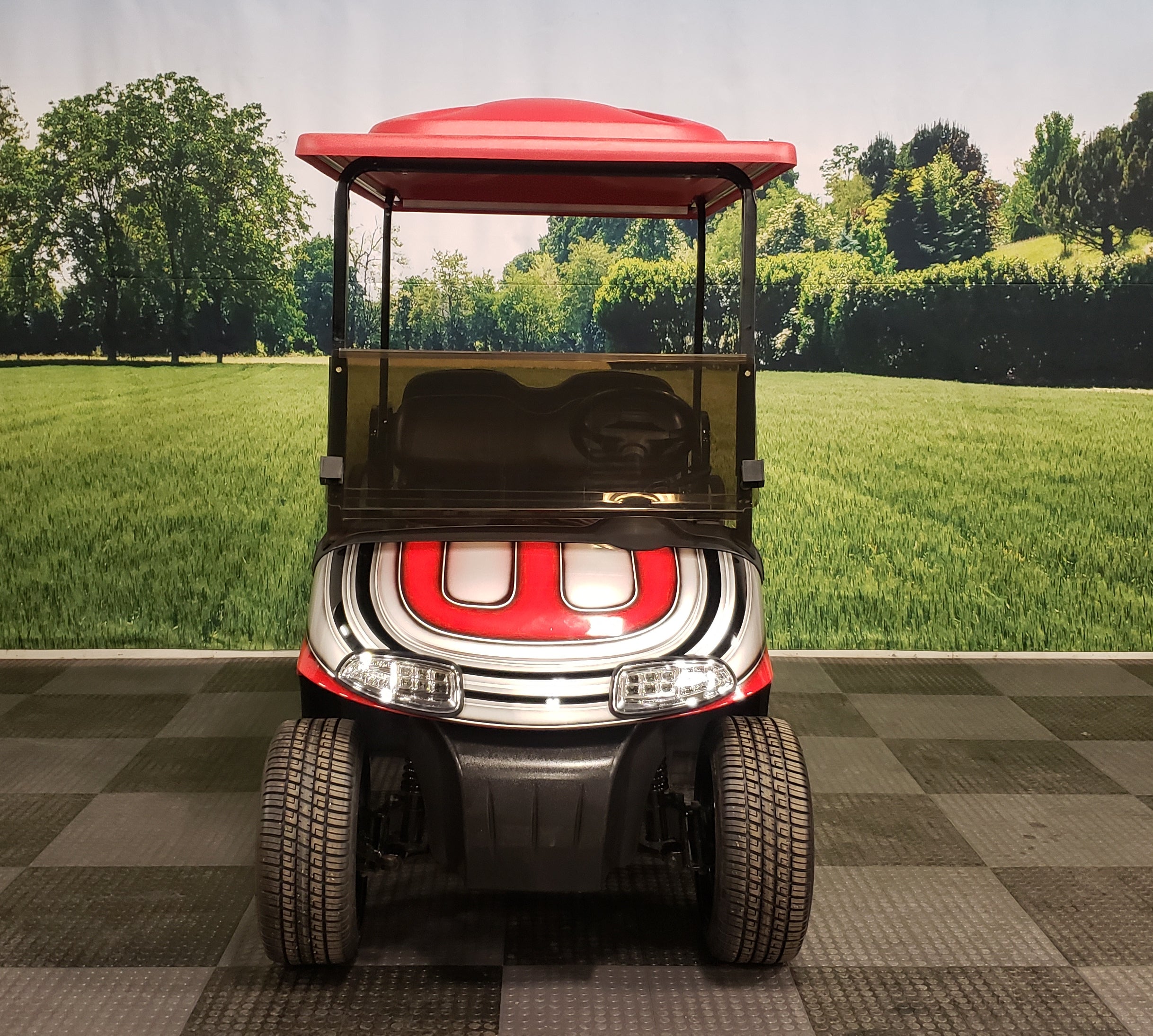 E-Z-GO RXV Street Ready Custom Golf Cart