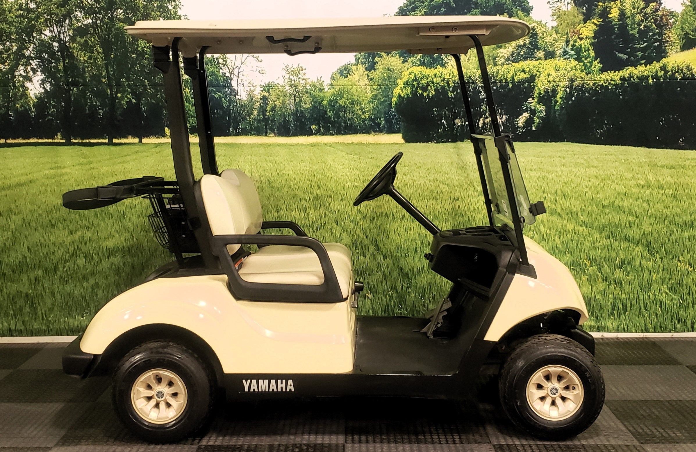 2017 Yamaha Drive2 Golf Cart Gas
